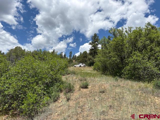 311 E Arbol Park Drive Pagosa Springs CO 81147