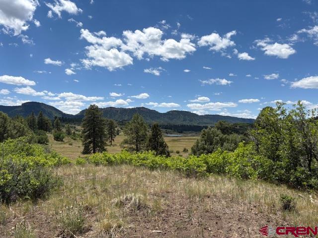 311 E Arbol Park Drive Pagosa Springs CO 81147