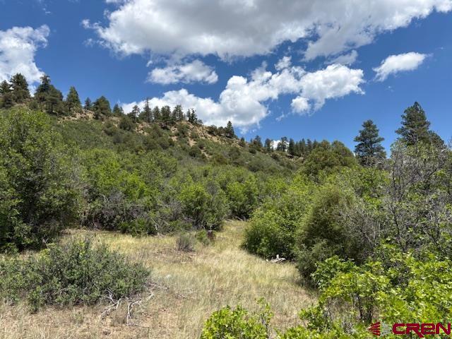 311 E Arbol Park Drive Pagosa Springs CO 81147