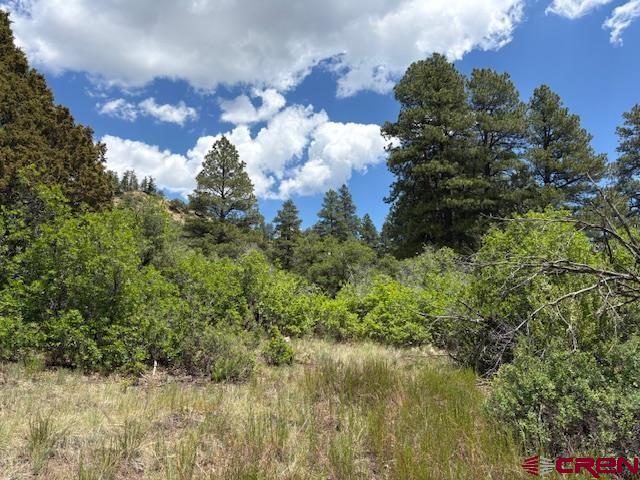 311 E Arbol Park Drive Pagosa Springs CO 81147