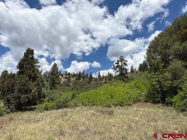311 E Arbol Park Drive Pagosa Springs CO 81147