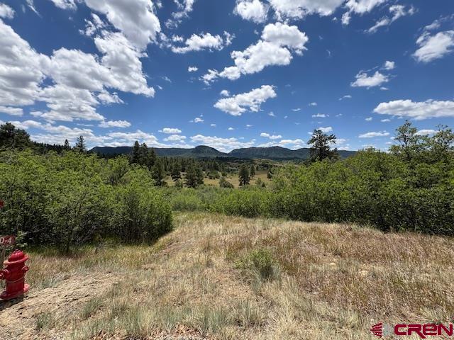 311 E Arbol Park Drive Pagosa Springs CO 81147