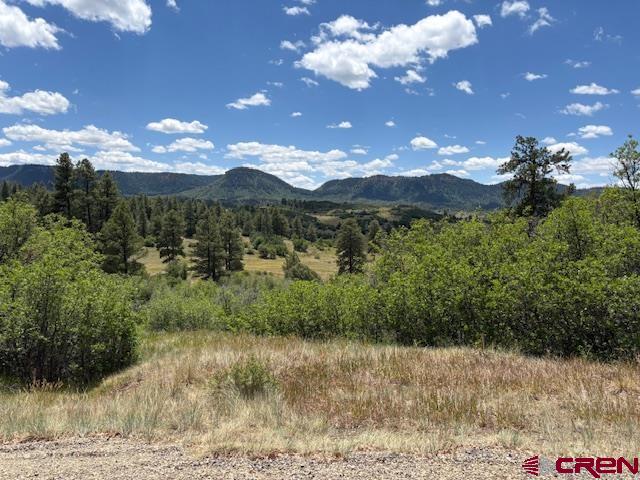 311 E Arbol Park Drive Pagosa Springs CO 81147