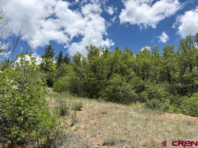 311 E Arbol Park Drive Pagosa Springs CO 81147