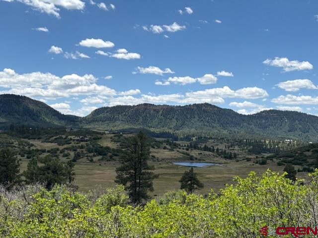 311 E Arbol Park Drive Pagosa Springs CO 81147