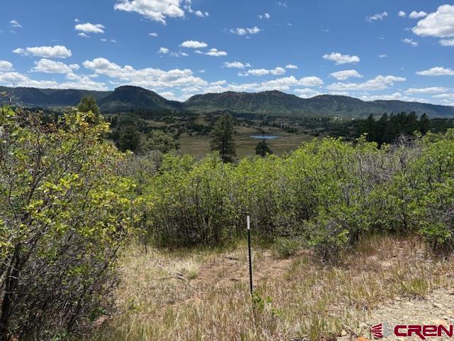 311 E Arbol Park Drive Pagosa Springs CO 81147