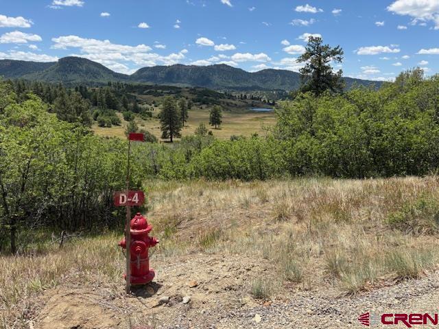 311 E Arbol Park Drive Pagosa Springs CO 81147