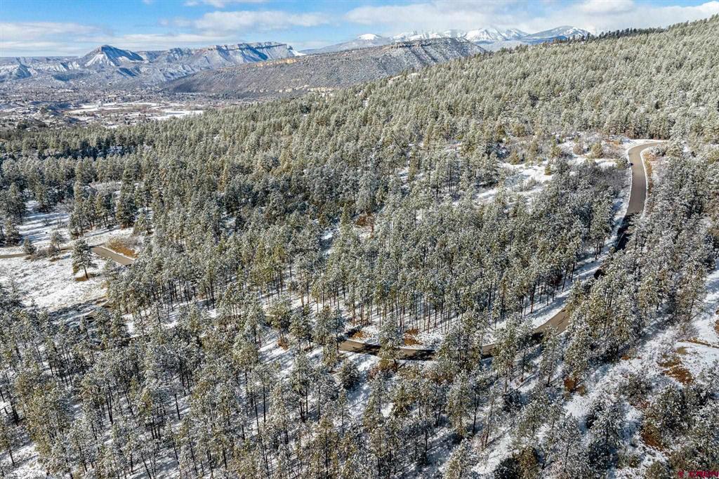 701 Durango Cliffs Drive Durango CO 81303