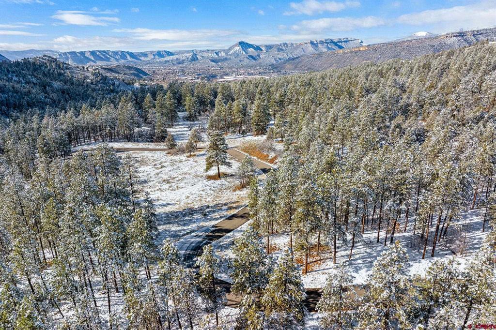701 Durango Cliffs Drive Durango CO 81303