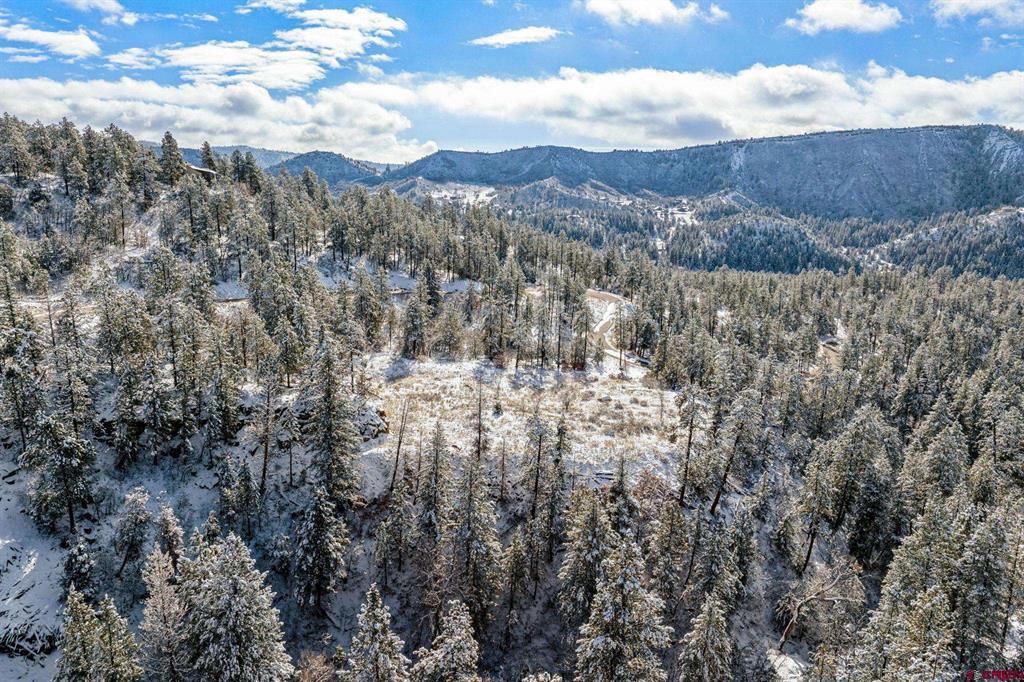 701 Durango Cliffs Drive Durango CO 81303