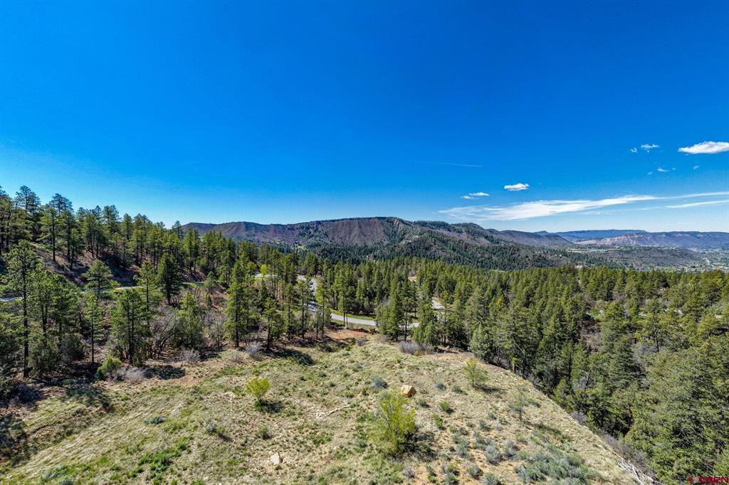 701 Durango Cliffs Drive Durango CO 81303