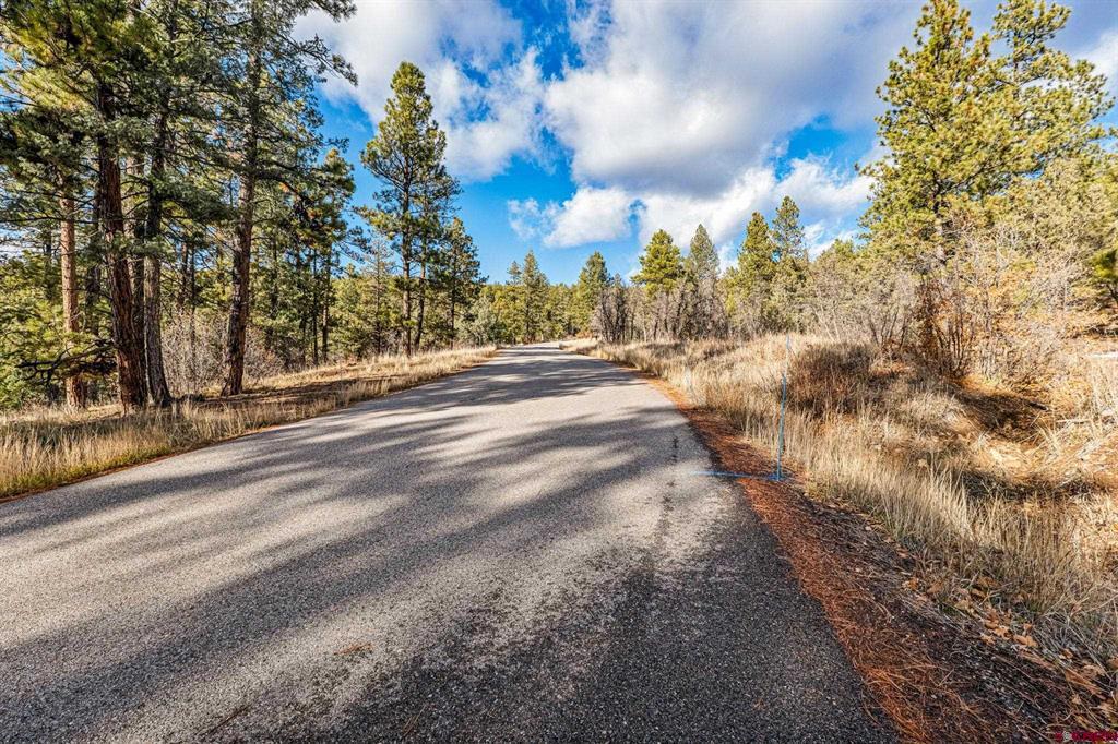 701 Durango Cliffs Drive Durango CO 81303