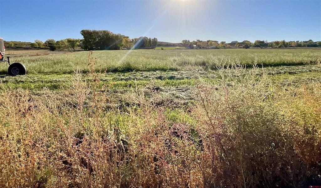 Tbd 5800 Road Montrose CO 81403