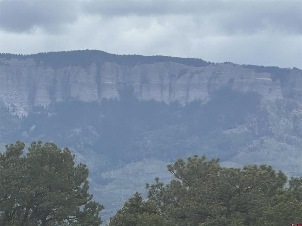 140 W Cedar Lane Ridgway CO 81432
