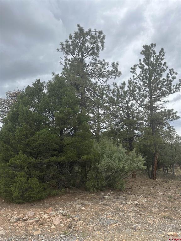 140 W Cedar Lane Ridgway CO 81432