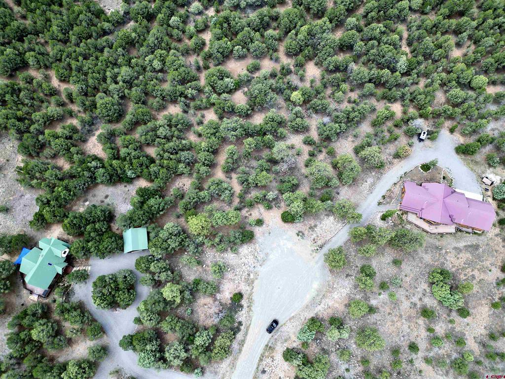 140 W Cedar Lane Ridgway CO 81432