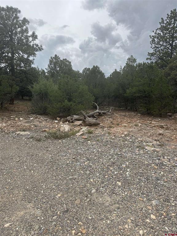 140 W Cedar Lane Ridgway CO 81432