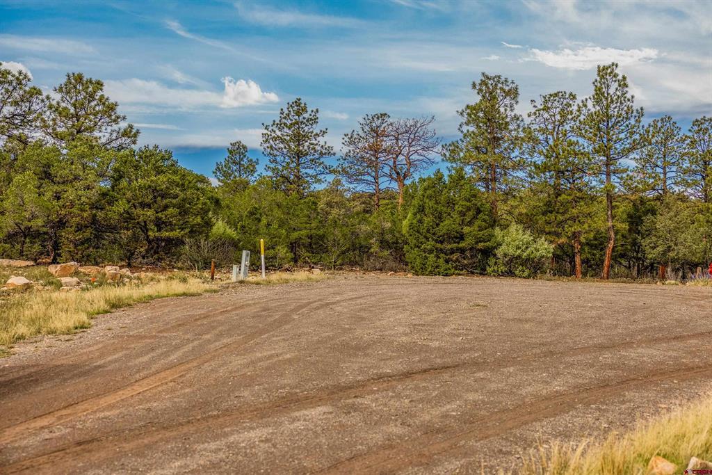 140 W Cedar Lane Ridgway CO 81432