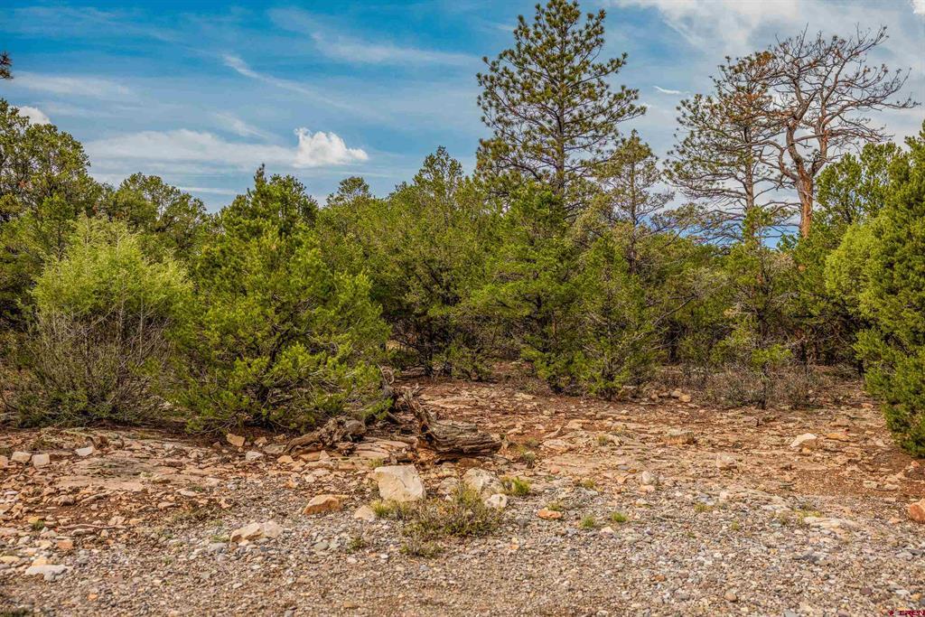 140 W Cedar Lane Ridgway CO 81432