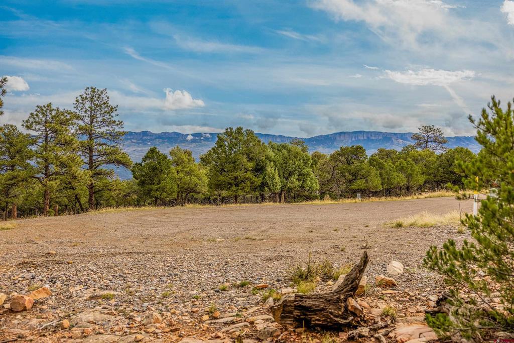140 W Cedar Lane Ridgway CO 81432