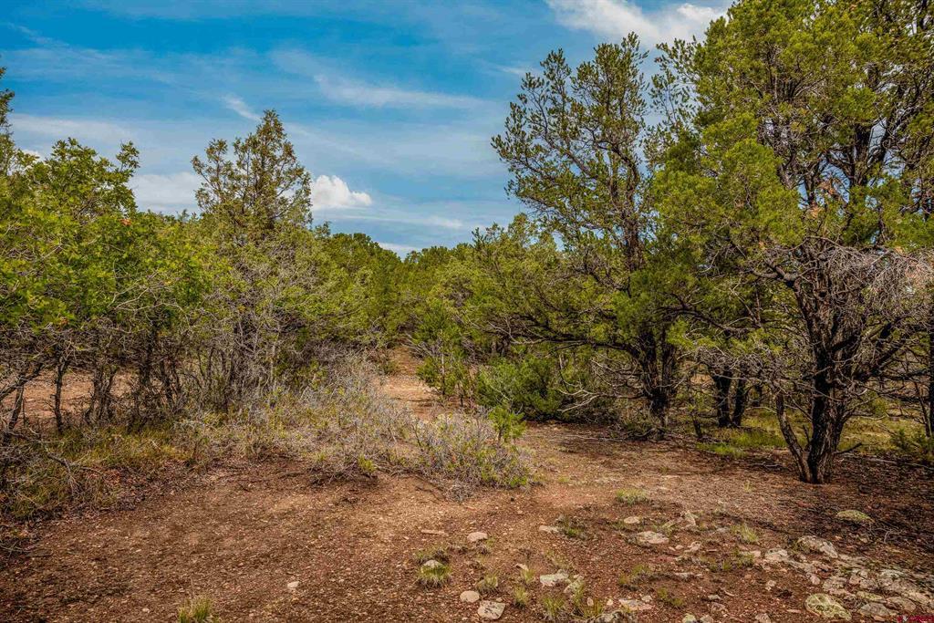 140 W Cedar Lane Ridgway CO 81432