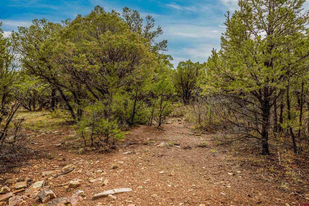 140 W Cedar Lane Ridgway CO 81432