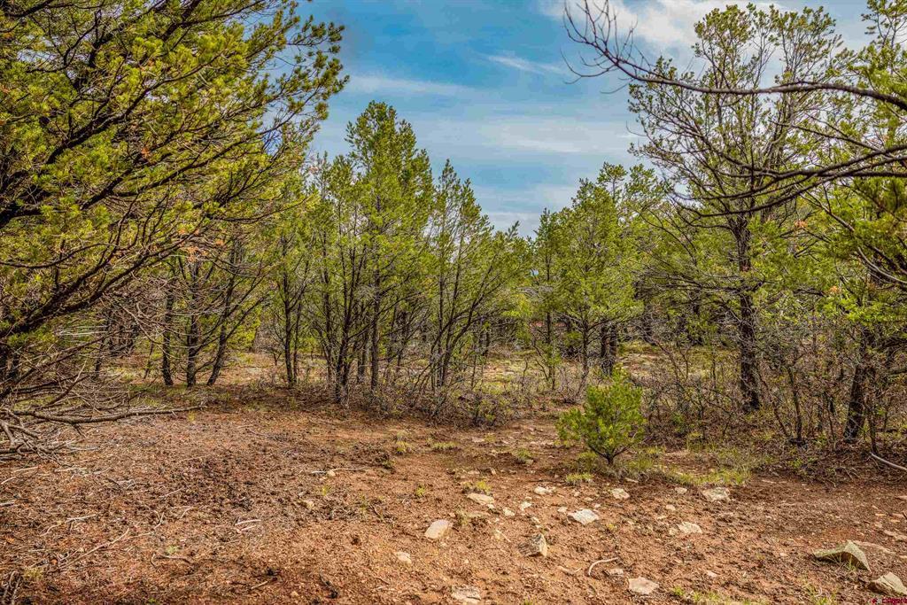 140 W Cedar Lane Ridgway CO 81432