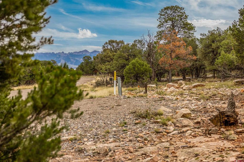 140 W Cedar Lane Ridgway CO 81432