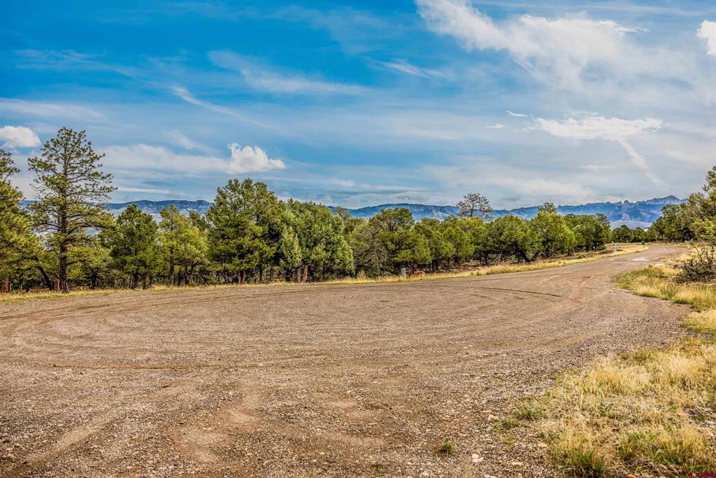 140 W Cedar Lane Ridgway CO 81432