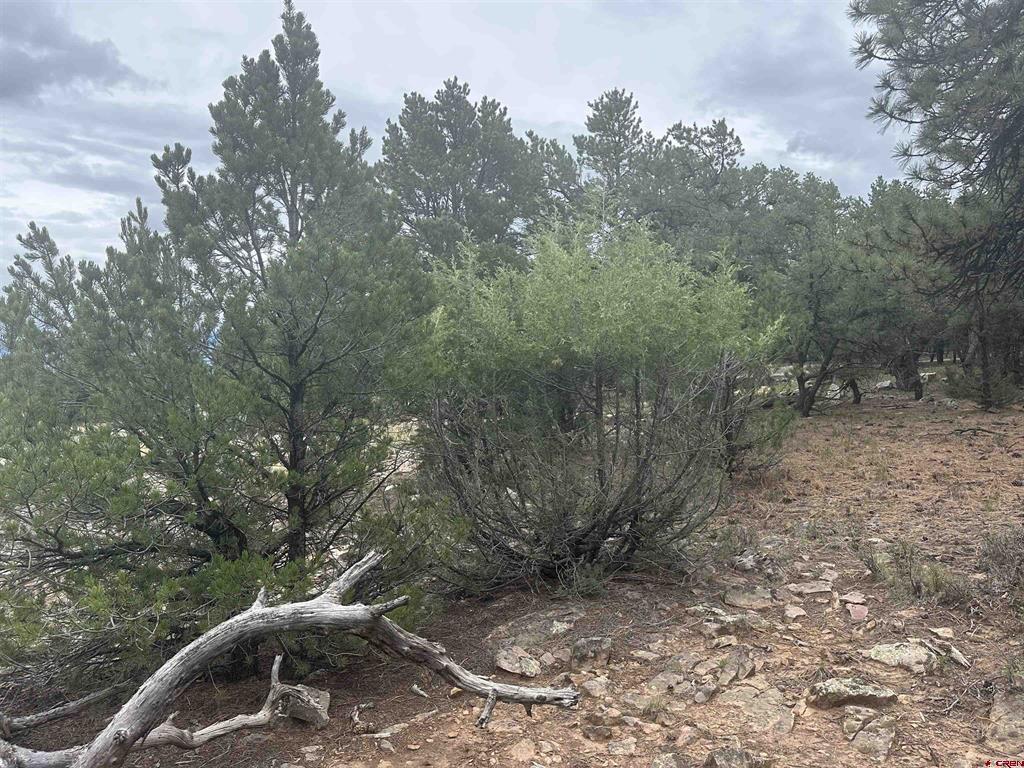 140 W Cedar Lane Ridgway CO 81432