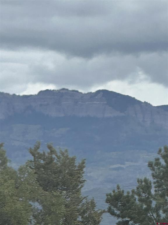 140 W Cedar Lane Ridgway CO 81432