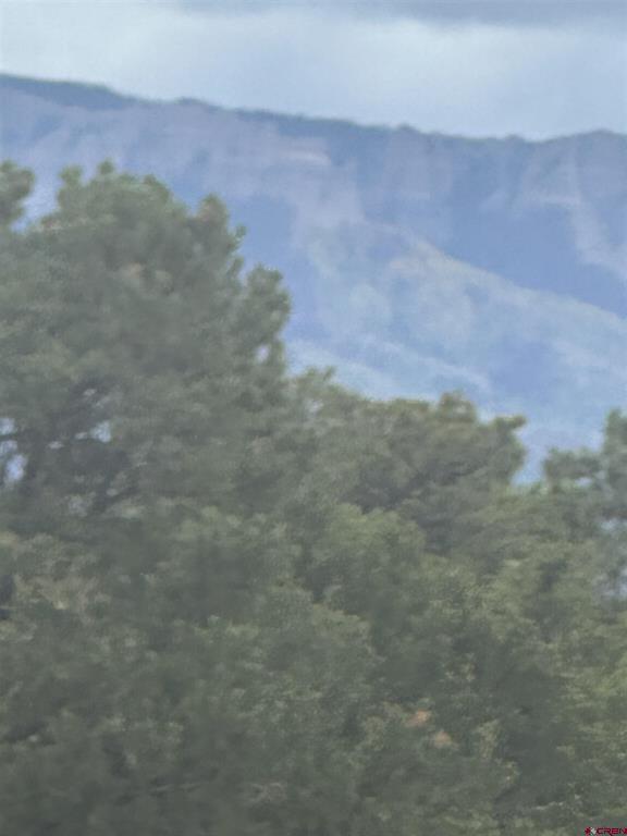 140 W Cedar Lane Ridgway CO 81432