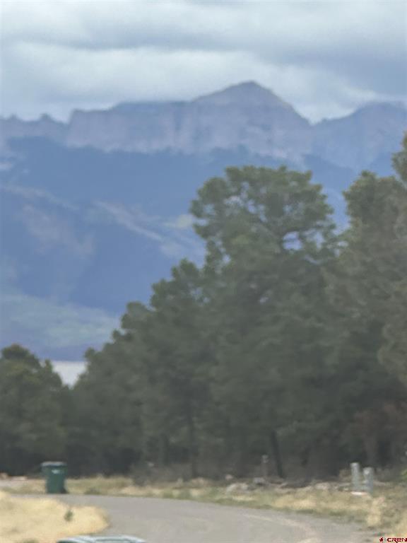 140 W Cedar Lane Ridgway CO 81432