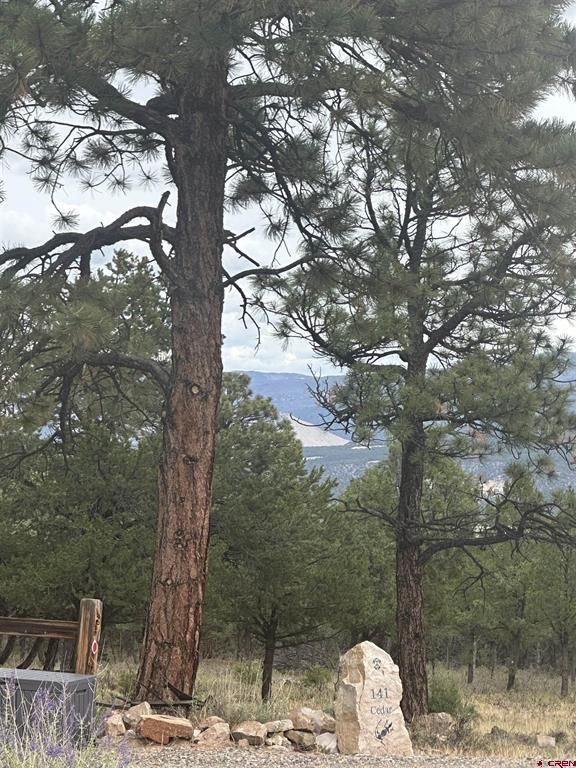 140 W Cedar Lane Ridgway CO 81432