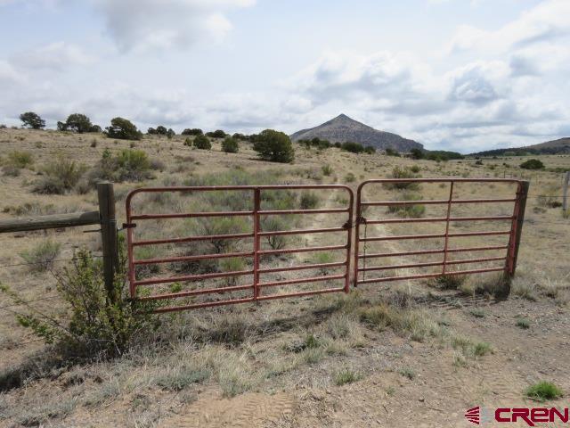274 Antelope Trail Del Norte CO 81132