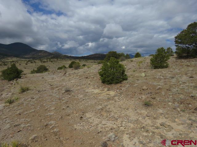 274 Antelope Trail Del Norte CO 81132