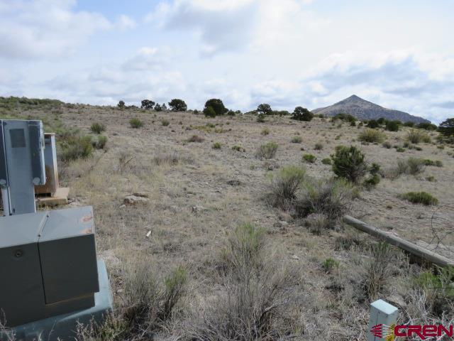 274 Antelope Trail Del Norte CO 81132