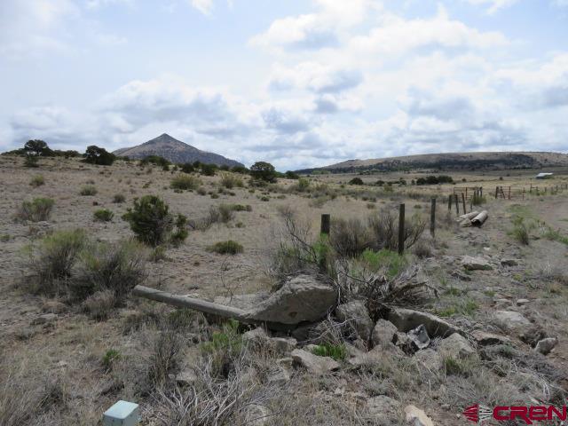 274 Antelope Trail Del Norte CO 81132