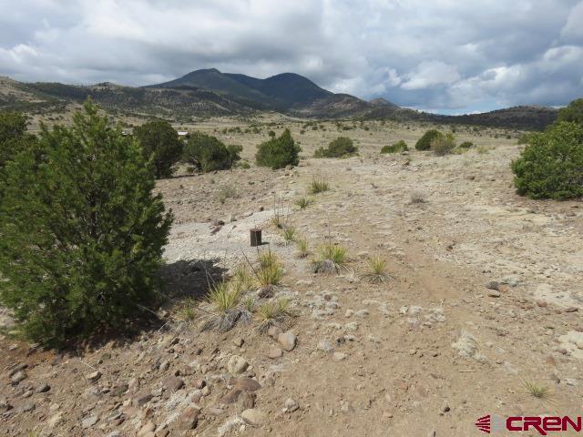 274 Antelope Trail Del Norte CO 81132