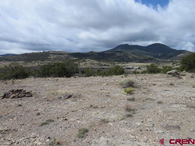 274 Antelope Trail Del Norte CO 81132