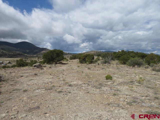 274 Antelope Trail Del Norte CO 81132