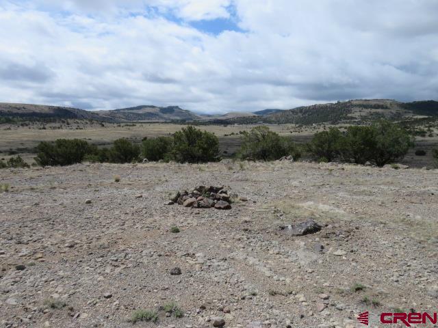 274 Antelope Trail Del Norte CO 81132