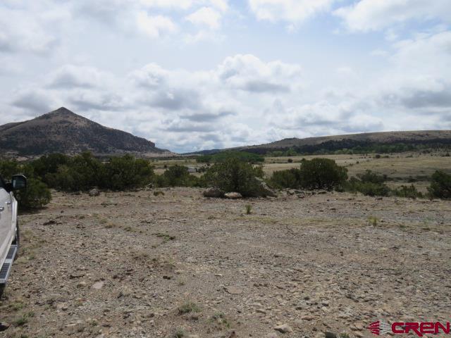 274 Antelope Trail Del Norte CO 81132