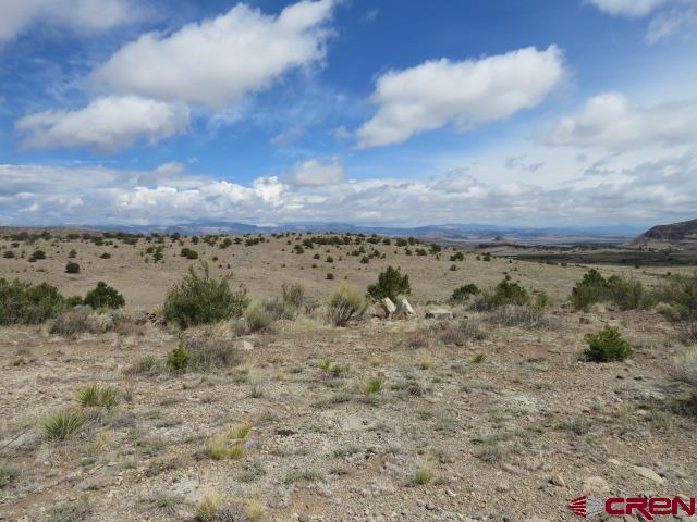 274 Antelope Trail Del Norte CO 81132