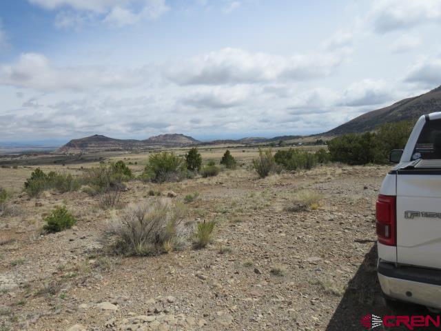 274 Antelope Trail Del Norte CO 81132