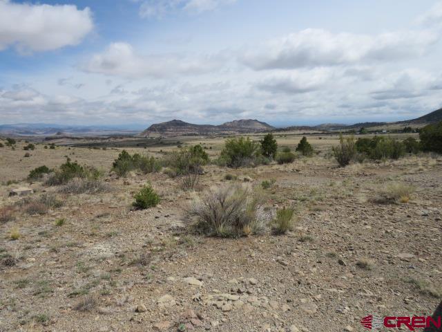 274 Antelope Trail Del Norte CO 81132