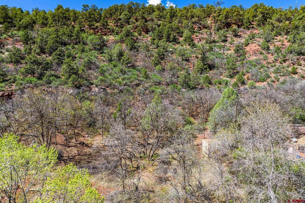 4343 County Road 203 Durango CO 81301