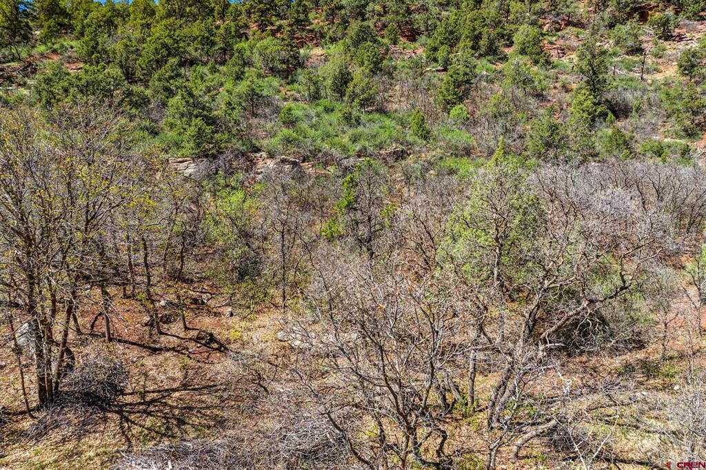 4343 County Road 203 Durango CO 81301