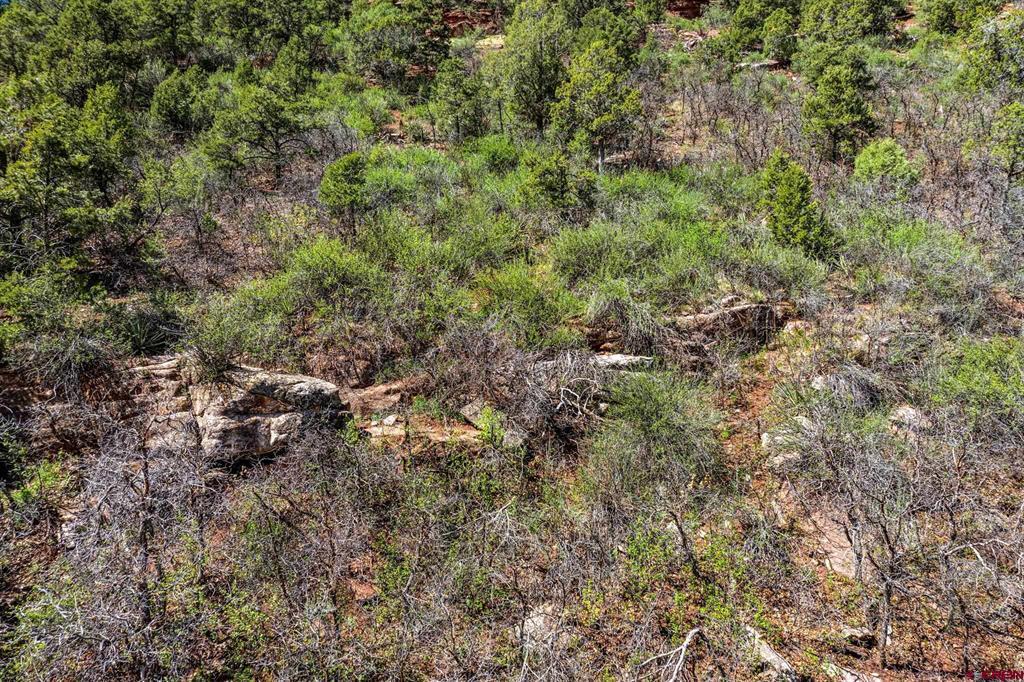 4343 County Road 203 Durango CO 81301