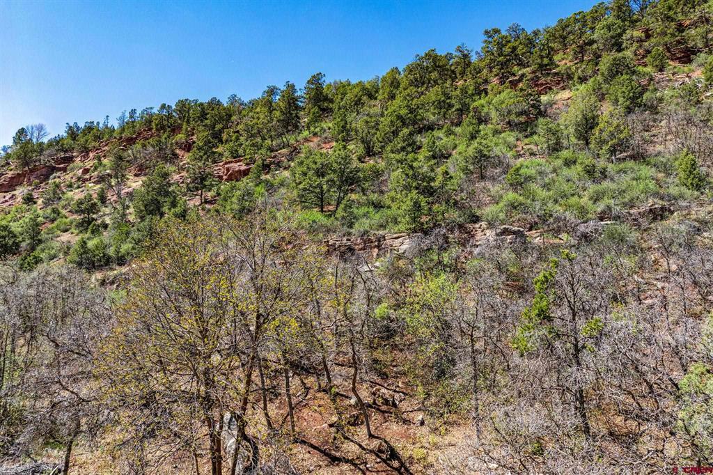 4343 County Road 203 Durango CO 81301